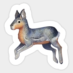 Cozy Patagonian Mara Sticker